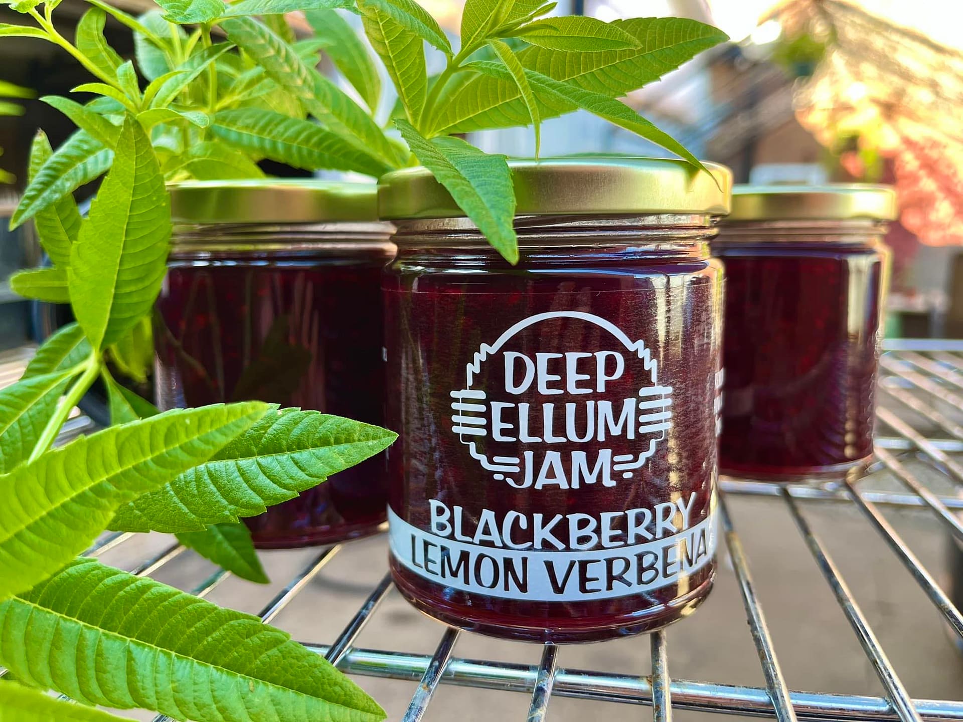 Blackberry Lemon Verbena Deep Ellum Jam